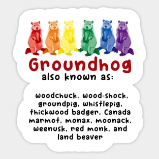 A Rainbow Groundhog By Any Other Name Sticker